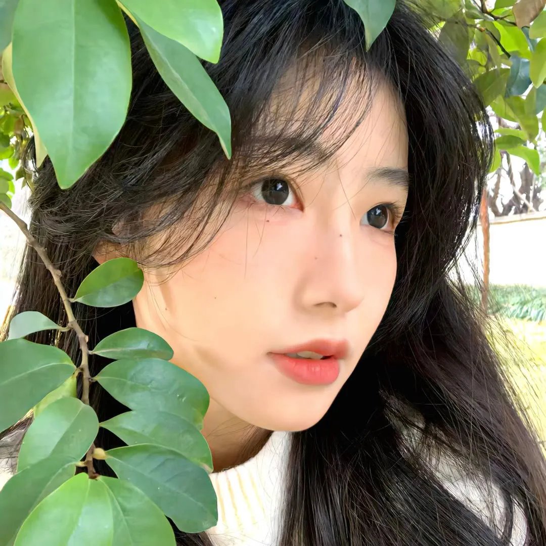 圣诞快乐颂